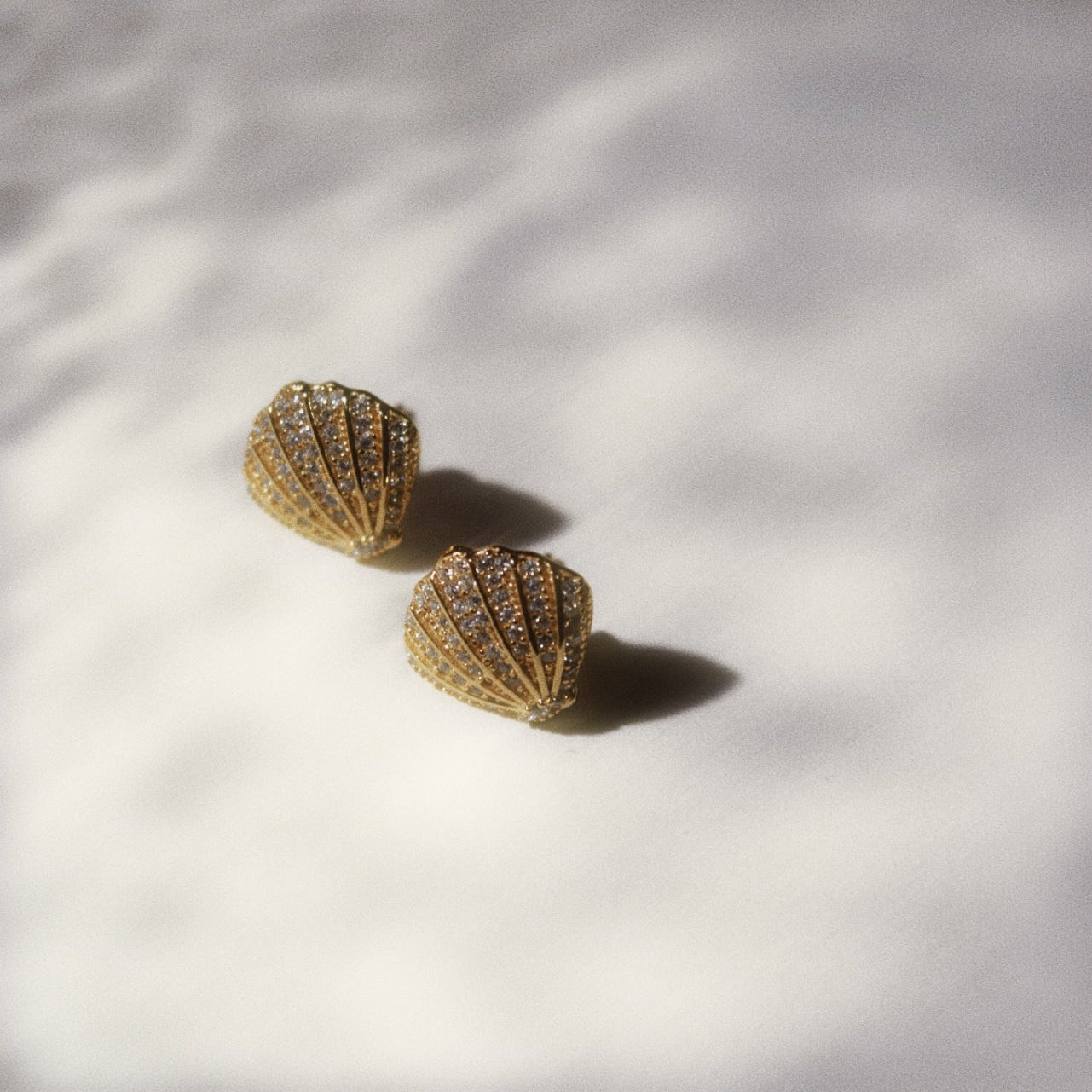 Shell Earrings