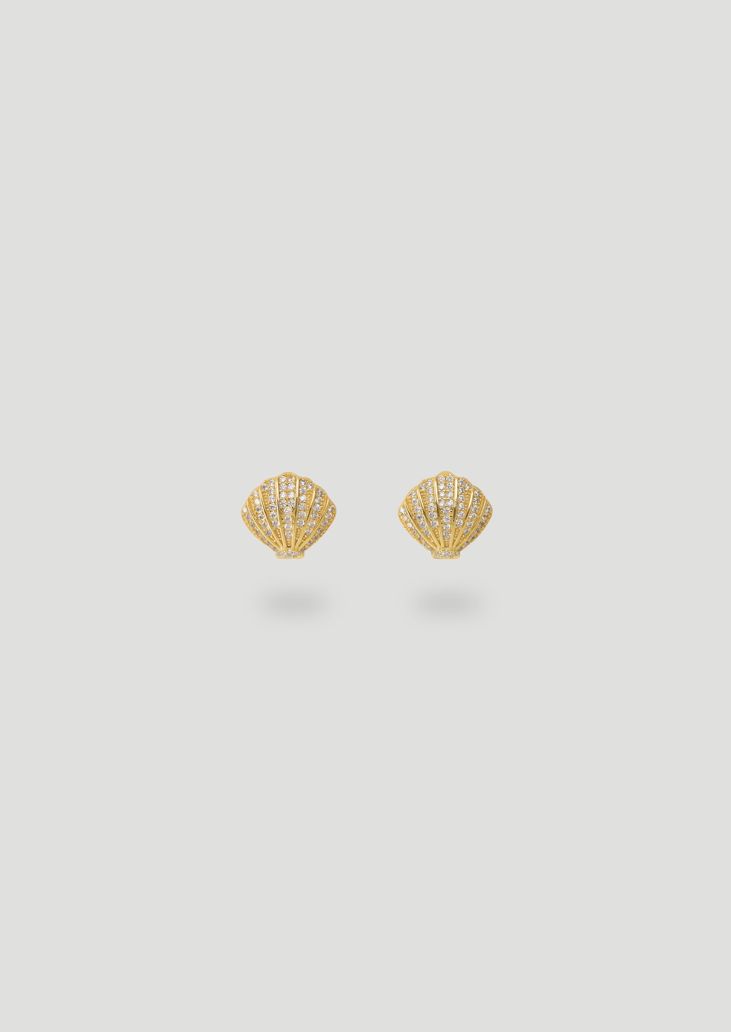 Shell Earrings