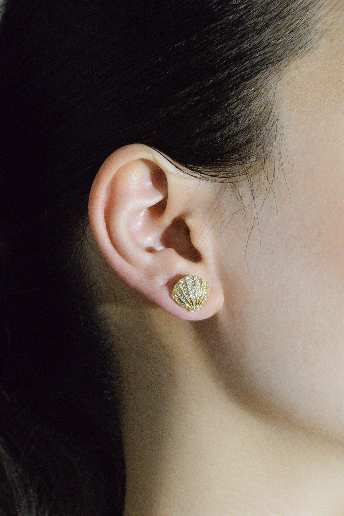 Shell Earrings